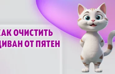 Как очистить диван от пятен еды и напитков в Калининграде