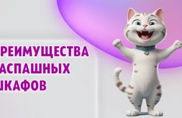 Распашной шкаф в Калининграде
