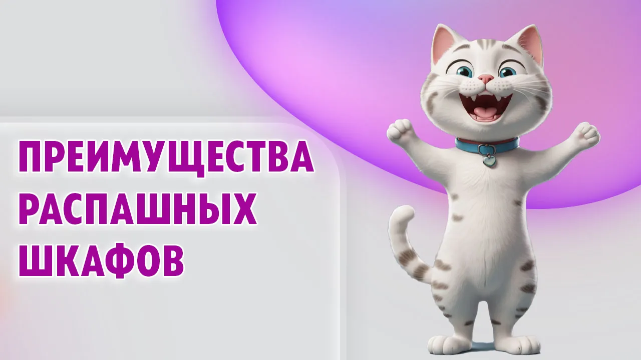 Распашной шкаф в Калининграде Распашной шкаф в Калининграде
