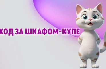 Уход за шкафом-купе в Калининграде