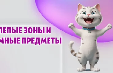 Слепые зоны и умные предметы в Калининграде