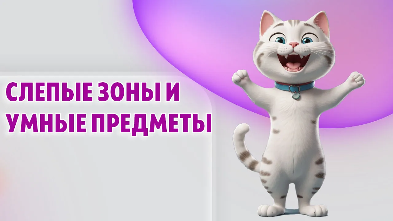 Слепые зоны и умные предметы в Калининграде