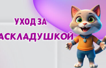 Раскладушка в Калининграде