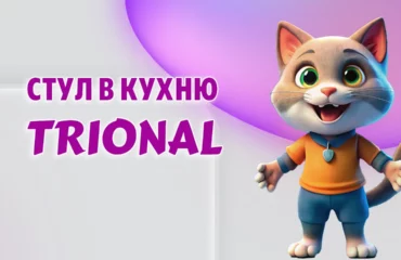Стул в Калининграде