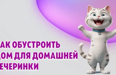 Как обустроить дом для домашней вечеринки в Калининграде