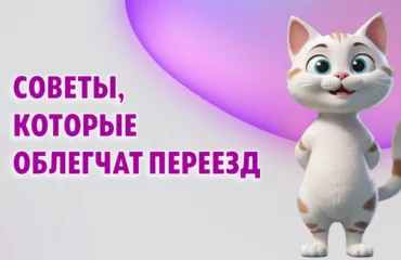 Советы, которые облегчат переезд в Калининграде