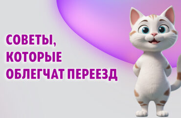 Советы, которые облегчат переезд в Калининграде