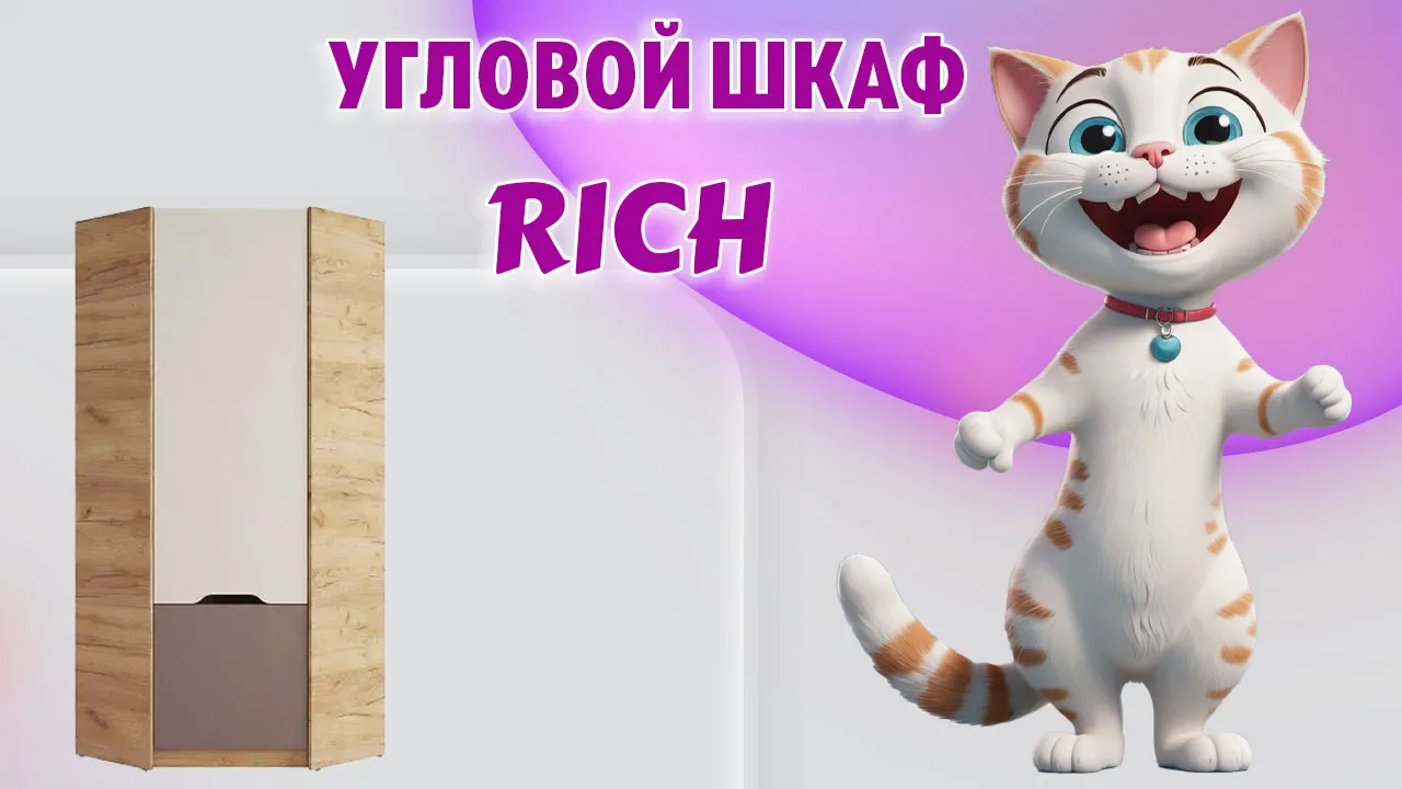 Угловой шкаф в Калининграде