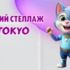 Стеллаж в Калининграде
